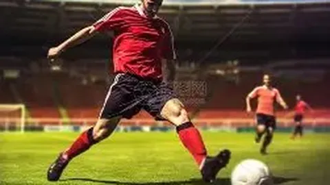 开云官网 产品 092808 niv