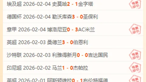 加蒂维阿赛后冲突，弗拉霍维奇成功化解争执